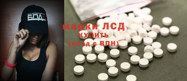 крисы Баксан