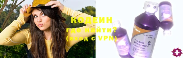 крисы Баксан