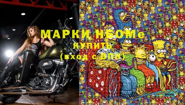 крисы Баксан