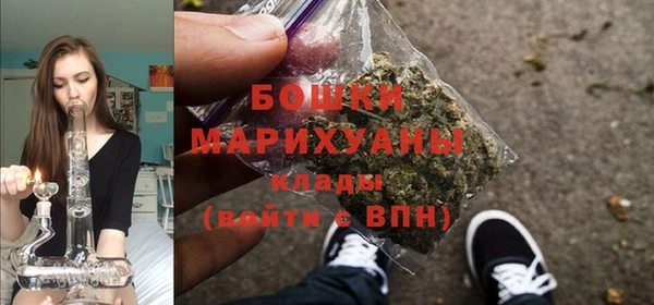 винт Дмитриев