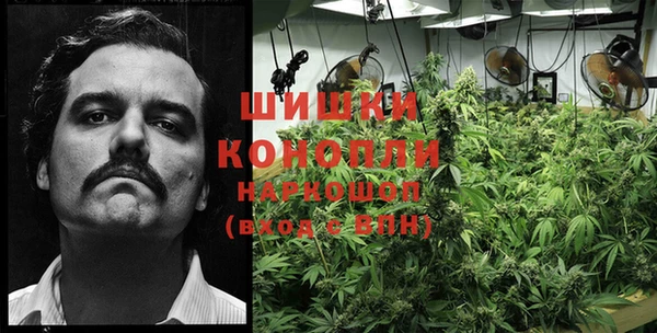 крисы Баксан