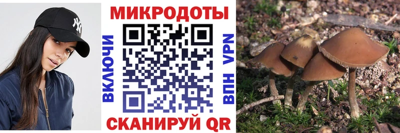 Галлюциногенные грибы прущие грибы  blacksprut вход  Михайловск 
